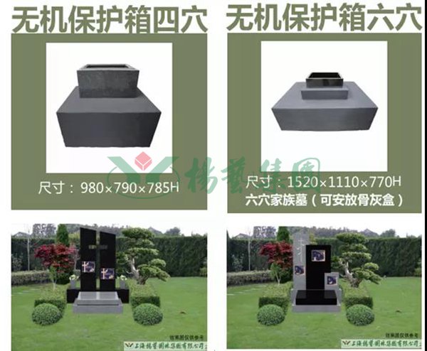 尊龙人生就是搏(中国)官方网站
