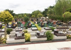 上；懔靶腔鹎