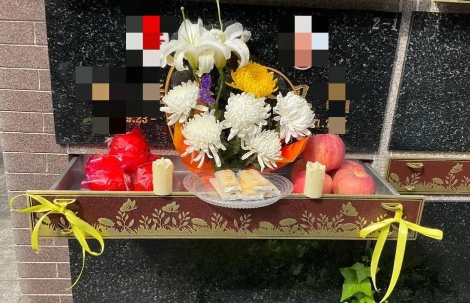 尊龙人生就是搏(中国)官方网站