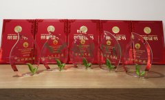 “尊龙人生就是搏杯”浙江省节地生态埋葬设计作品奖