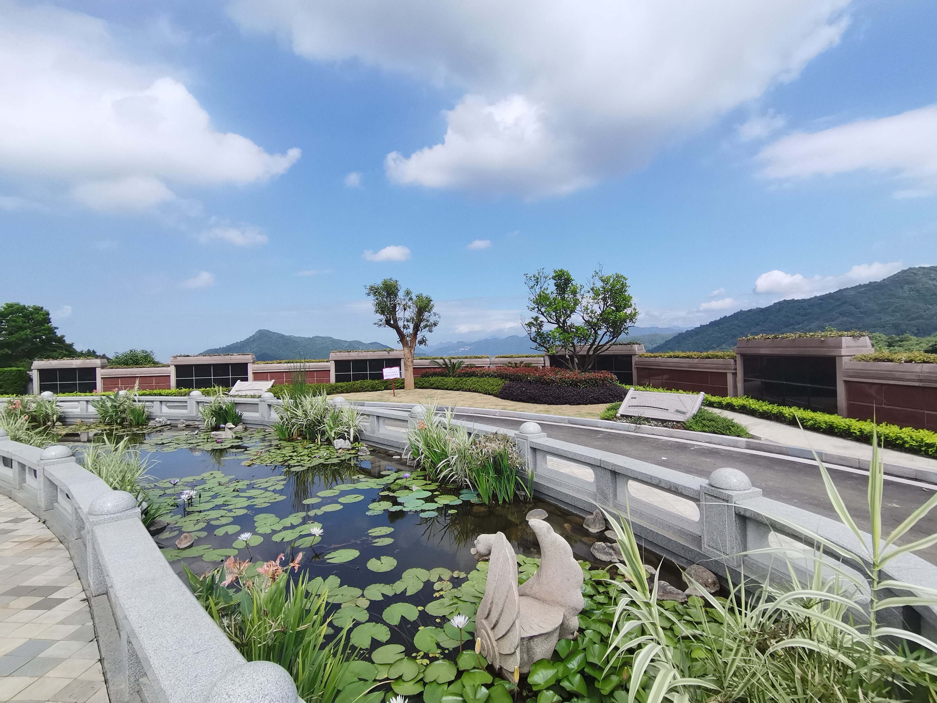 突破瓶颈，探索绿色生态殡葬新路径