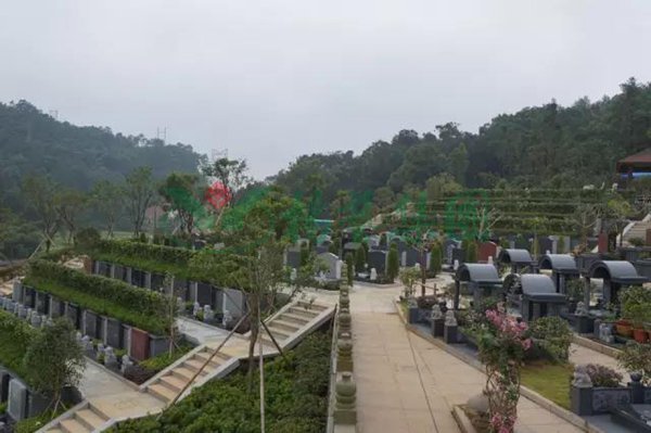 尊龙人生就是搏(中国)官方网站