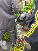 【尊龙人生就是搏人别样清明】2018年清明落葬事情圆满完成