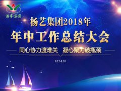 尊龙人生就是搏集团2018年中总结报告（摘要）