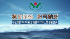 尊龙人生就是搏集团2018年总结暨2019年岁情安排聚会召开