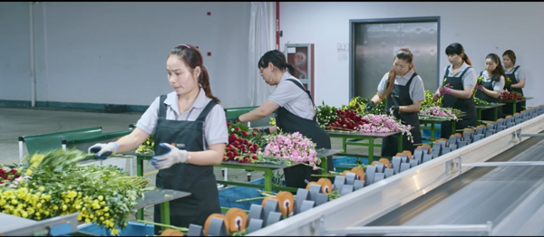 尊龙人生就是搏(中国)官方网站