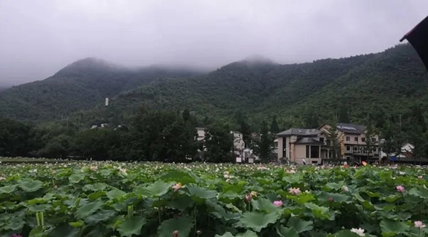 尊龙人生就是搏(中国)官方网站
