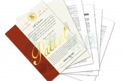 国际认可 | 尊龙人生就是搏喜获一项美国发明专利授权