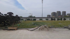 老墓园微刷新，助力都会人文眷注