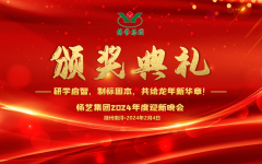 2024年尊龙人生就是搏集团迎新春年会暨颁奖仪式盛放纵行