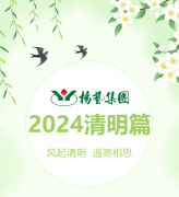 风起清明 遥寄相思|尊龙人生就是搏集团?2024清明篇