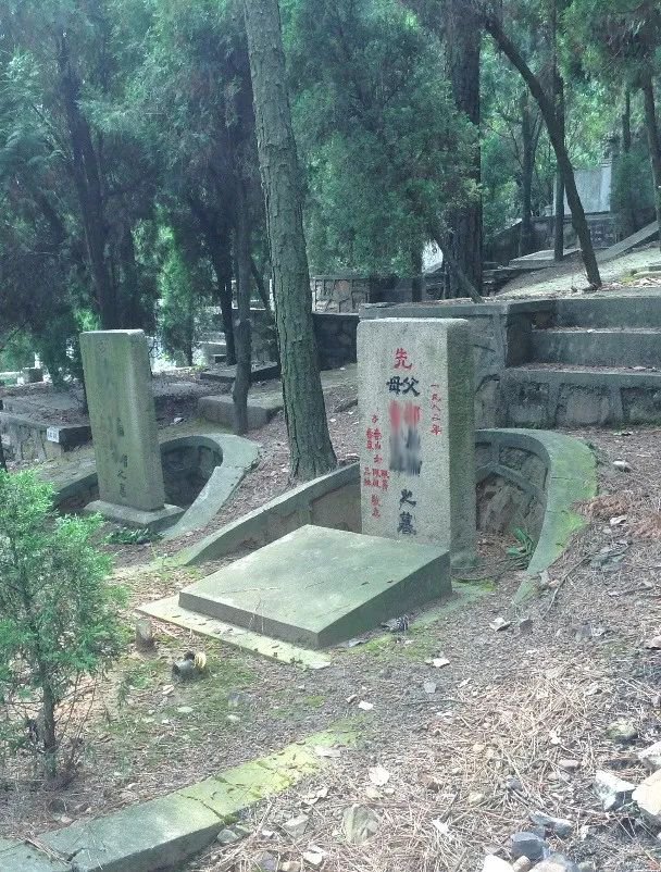 尊龙人生就是搏(中国)官方网站
