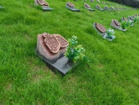 尊龙人生就是搏(中国)官方网站