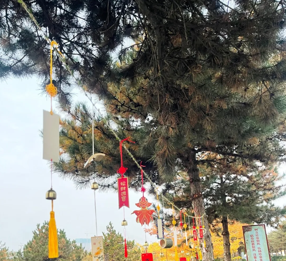 尊龙人生就是搏(中国)官方网站