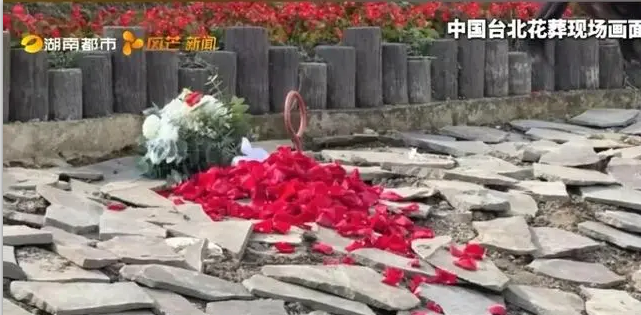 尊龙人生就是搏(中国)官方网站
